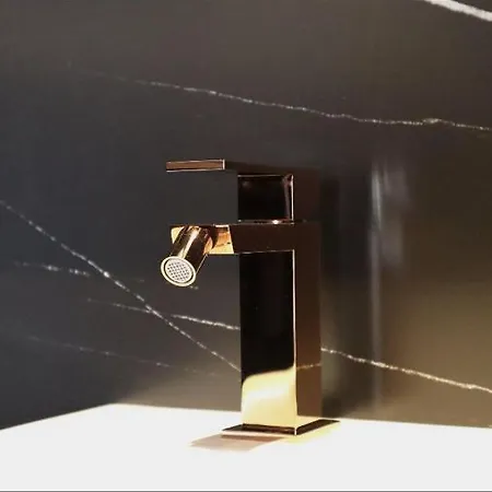 Il Tiglio 3* פויג'ה